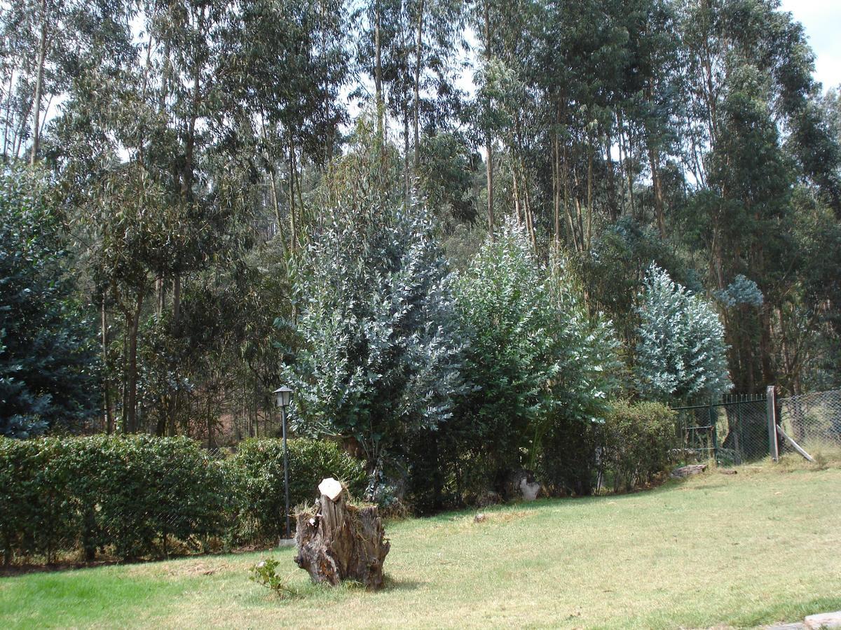 San Mateo Campestre Hotel *